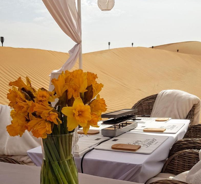 Photo of Others in Dubai Desert