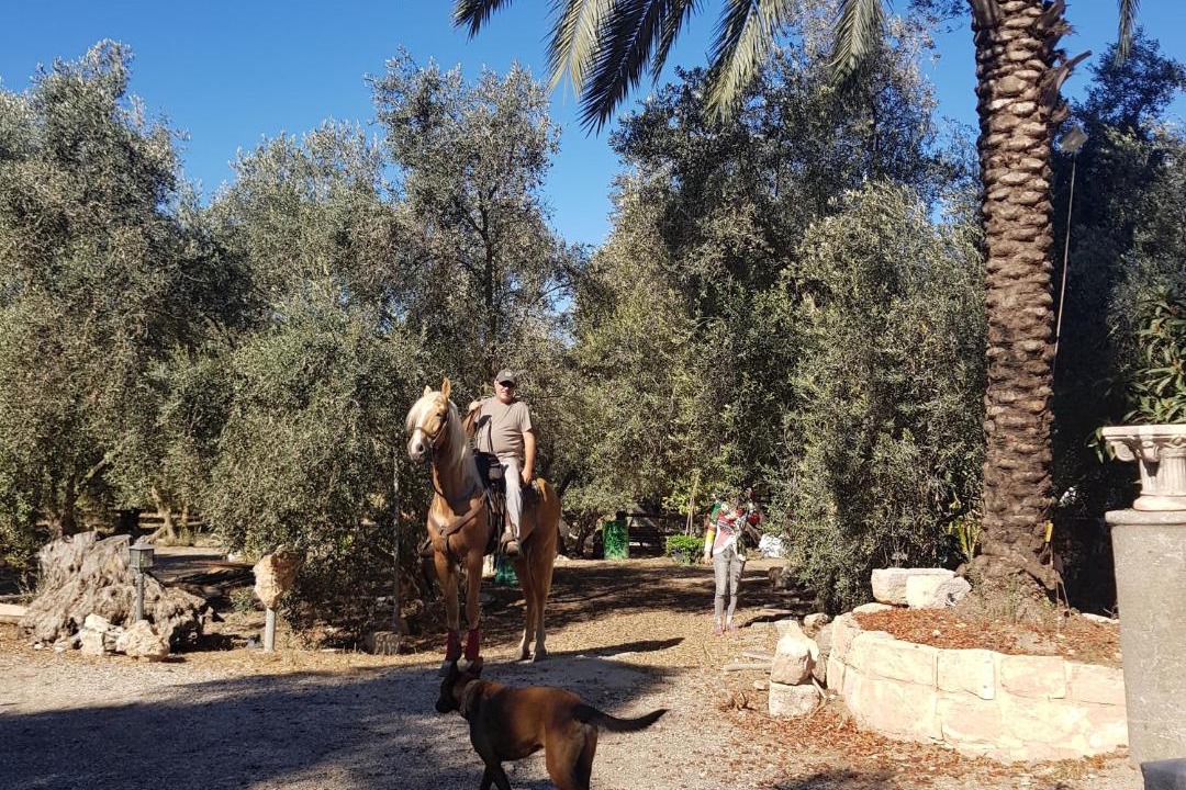 Photo of Others in Zippori