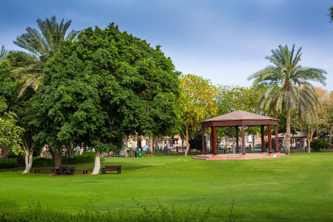 Photo of Others in Al Ain