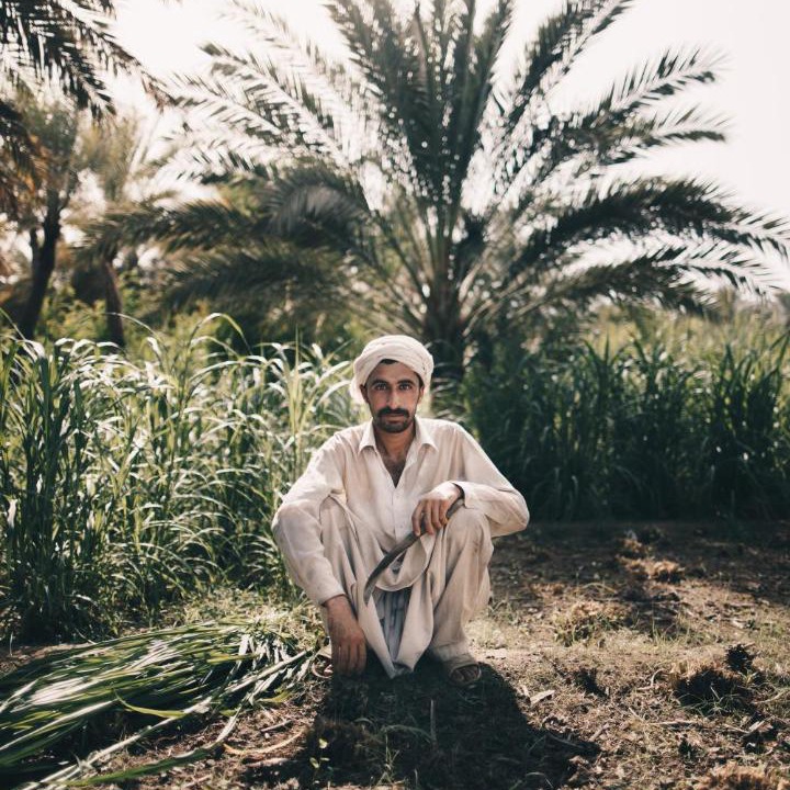 Photo of Others in Hatta