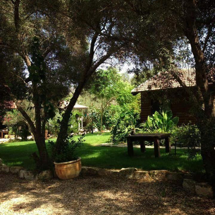 Photo of Others in Zippori