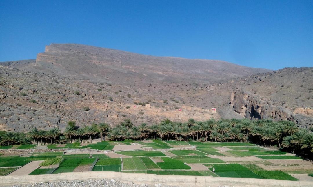 Photo of Others in Al Hamra