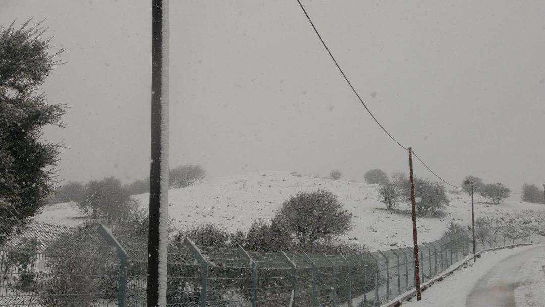 Photo of Others in Merom Golan