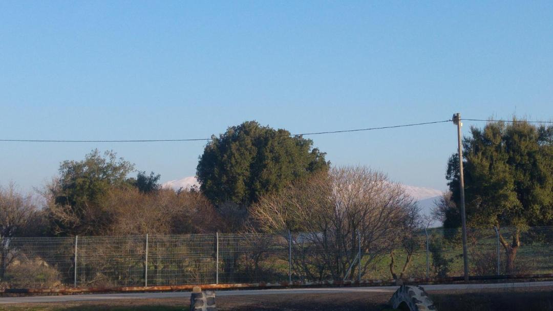Photo of Others in Merom Golan