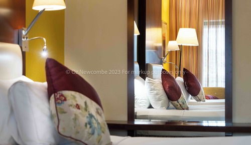 Standard Room, 1 King Bed