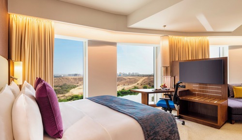 Standard Room, 1 King Bed, Mountain View