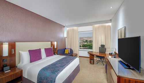 Premium Room, 1 King Bed, Mountain View