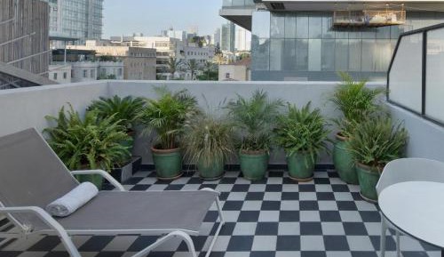 Terrace Room
