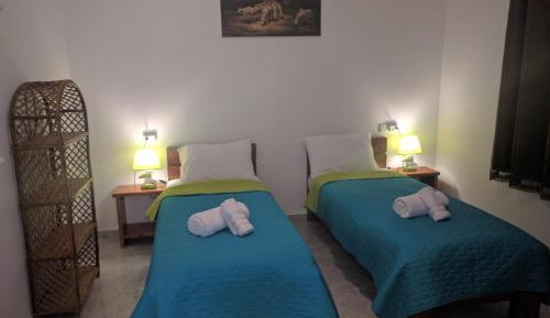 Double or Twin Room