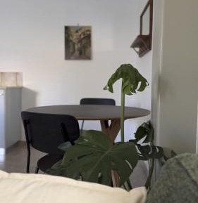 Superior One-Bedroom Apartment
