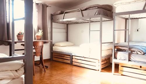Bed in 8-Bed Mixed Dormitory Room