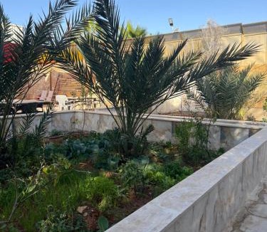 Wadi Araba Sub-District Ski Chalet | شاليه السهام