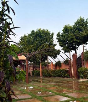 Sohar Hotel | Amaala Resort