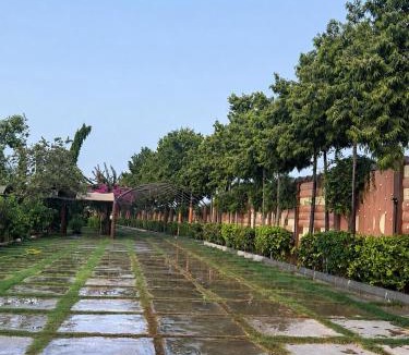 Sohar Hotel | Amaala Resort