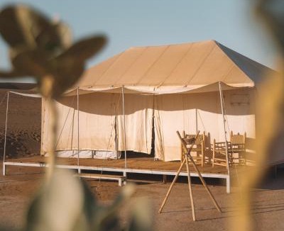 Bidiya Other | Arabian Horse camp