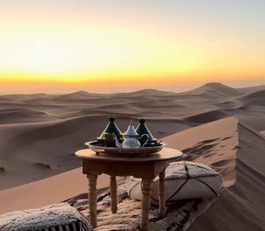 Bidiya Other | Arabian Horse camp