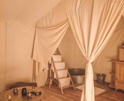 Bidiya Other | Arabian Horse camp