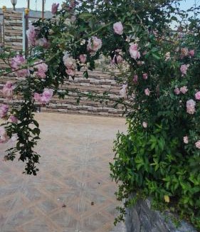 Sayq Villa | Rosa mountain reast