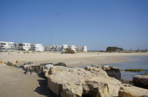 Jisr az-Zarqa Apartment | Grand Beach apartment 7 rooms huge terrace