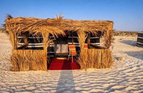 Al Qarin Other | Ocean Camp