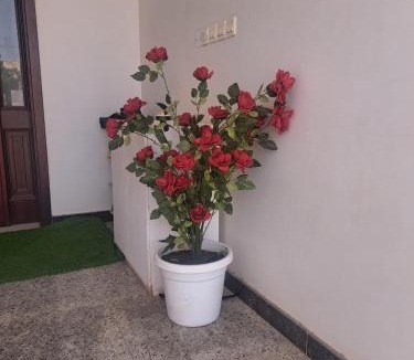 Seeb House | Melody stayhome