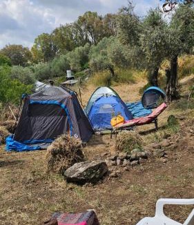 Kfar Hoshen Ski Chalet | Shepherds Cabin in Kadita - בקתת רועה בקדיתא