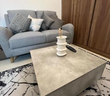 Ajman Apartment | Luxury Studio well Furnished in Ajman