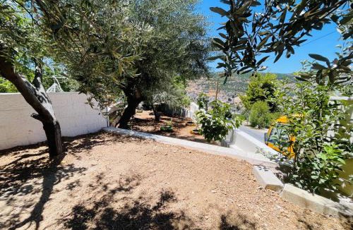 Ajloun Apartment | Mountain View House- بيت إطلالة الجبل