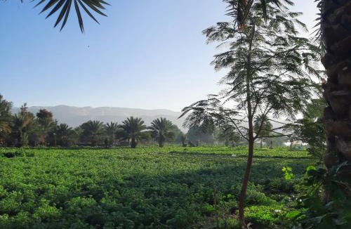 Al-Maghtas House | استراحة الباشا albash farm stay