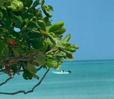 Al Hamra House | Shuweihat Beachfront Vacation House