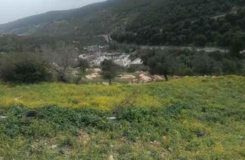 Ajloun Apartment | روابي عجلون منزل