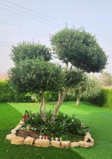 Sapir Apartment | שקט בערבה