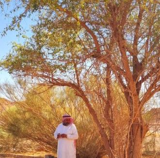 Wadi Rum Other | Rayyan Bedouin life camp