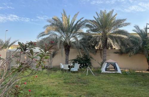 Dubai House | doge villa 6
