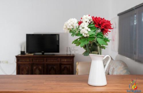 Al Wathba Apartment | Cozy Studio Chalets