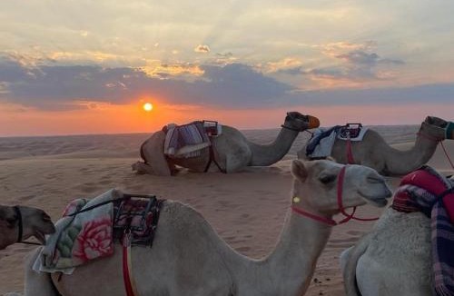 Bidiya Other | Oman desert private camp