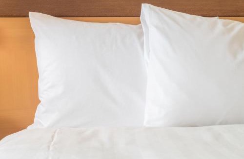 Al Wasl Hotel | Holiday Inn Express Dubai Safa Park by IHG