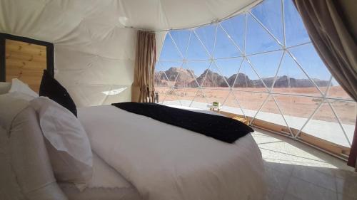 Wadi Rum Other | Wadi Rum Camp