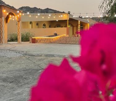 Hatta House | Wadi Alsidra