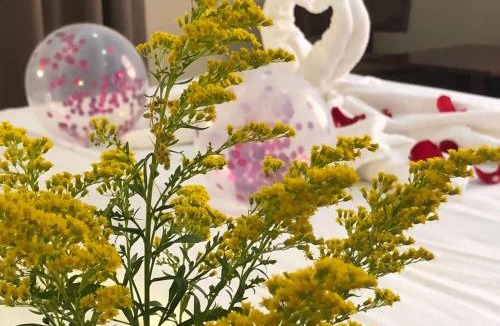 Sur Hotel | Al Ayjah Plaza Hotel