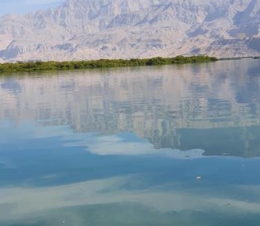 Ras Al Khaimah House | Lazeemah Chalet استراحة اللزيمه
