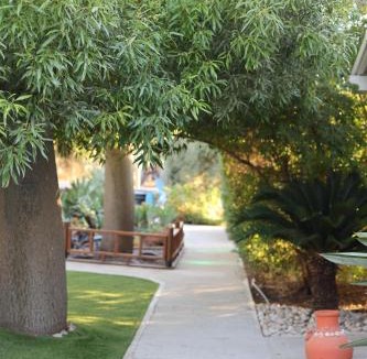Arbel Ski Chalet | Morad Haharbel - Boutique Resort