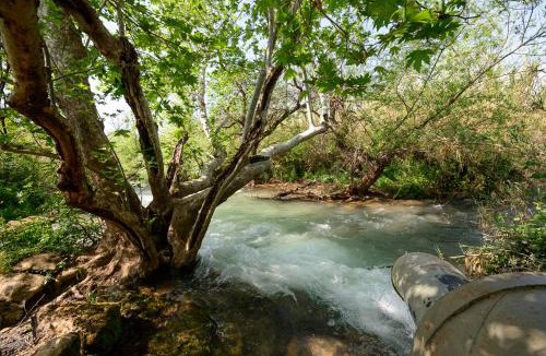 Qiryat Shemona Hotel | Magical in the Galilee