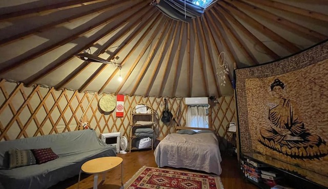 Yurt Located in a Little oak Grove