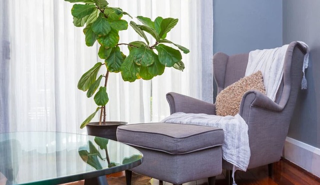 Fusion of 20th century charm & modern convenience! in Subiaco
