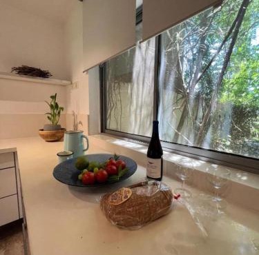 schneider villa- נופש יהודי בין הרי הגליל