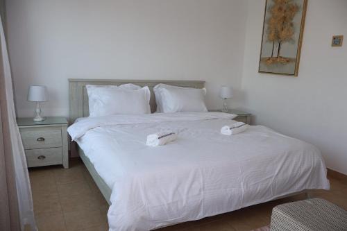 Fully Furnished Garden Villa 2 Bedroom