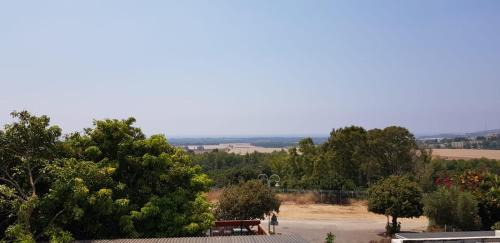 יורט מונגולי